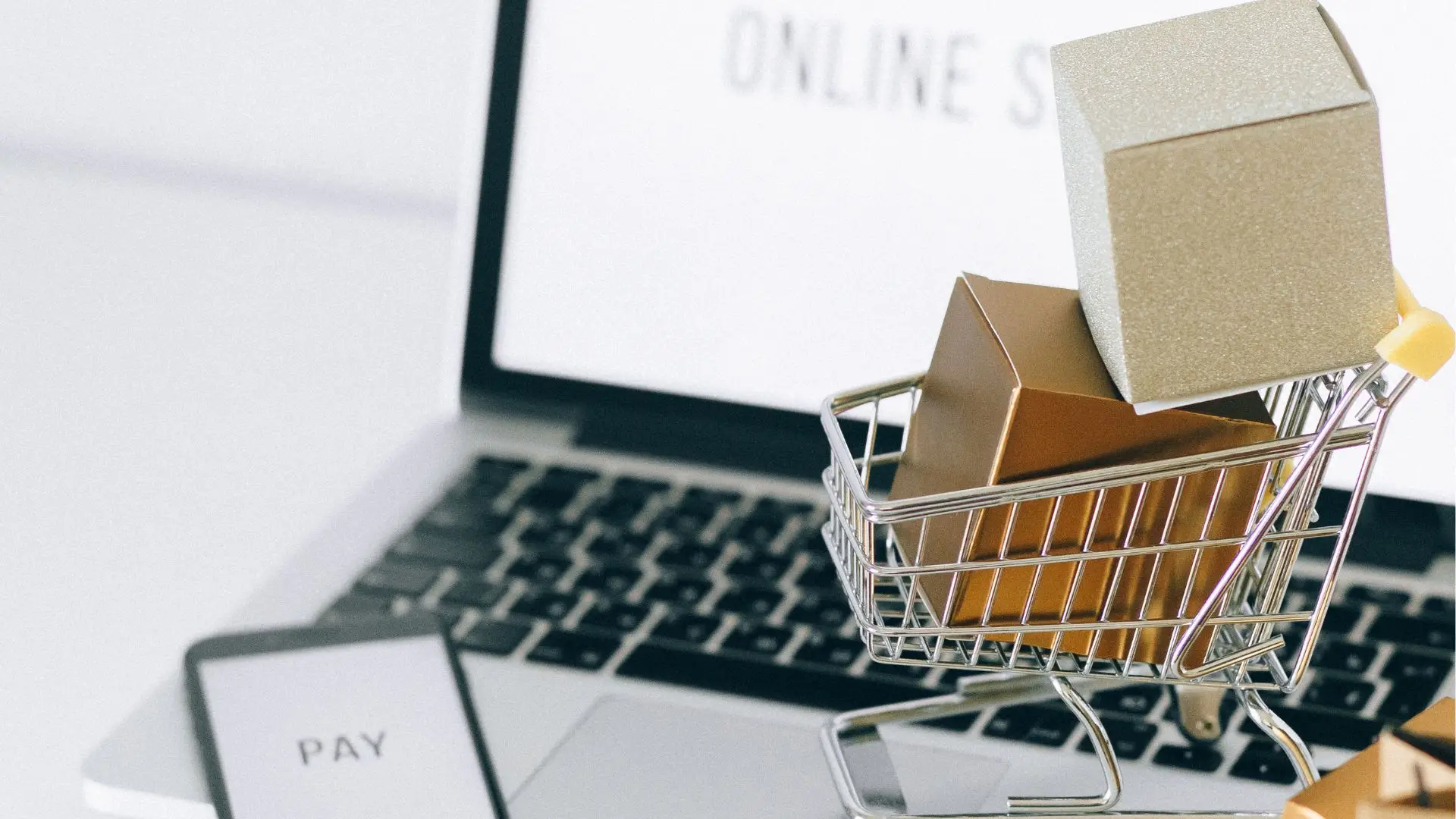 Site internet professionnel