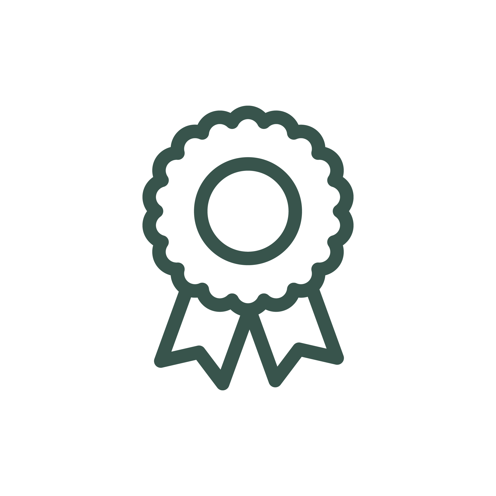 Picto certification médaille