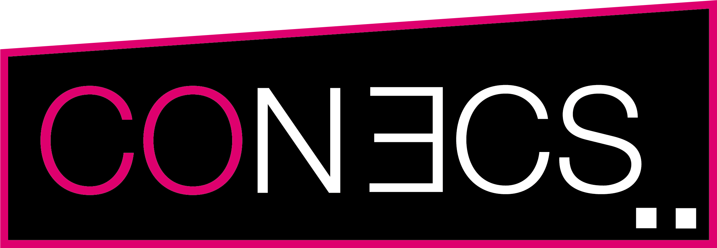 Logo Conecs