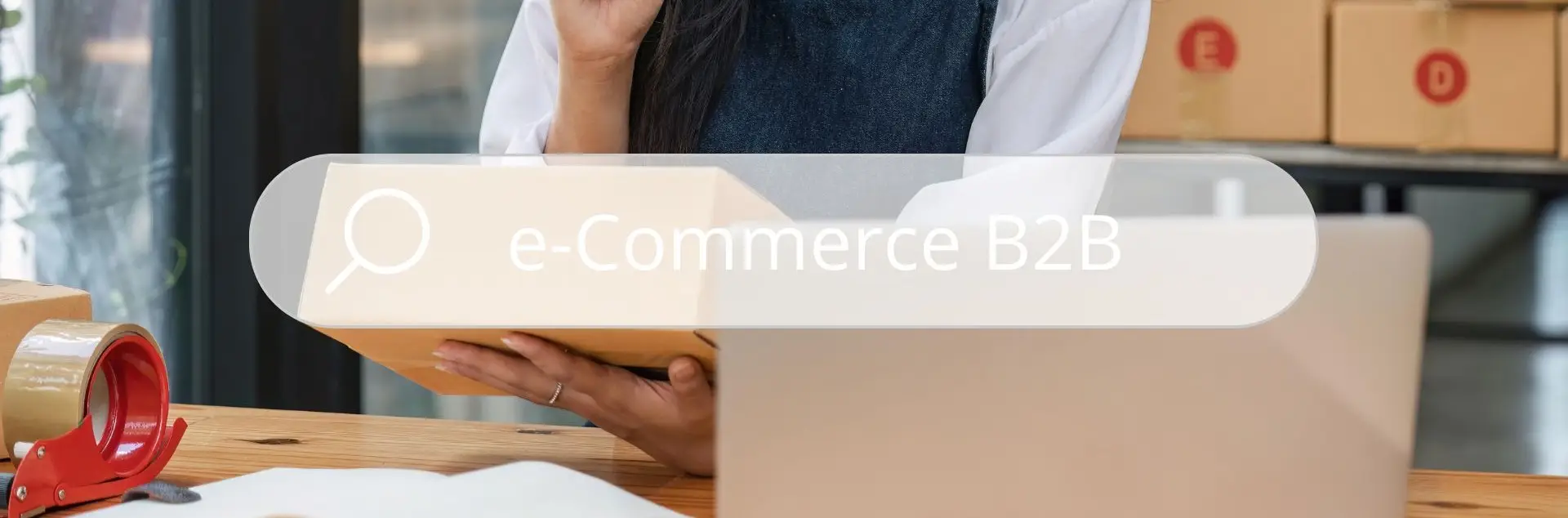 e-commerce B2B